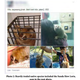 Illustration for article titled Jerks Are Selling Endangered Species on Facebook
